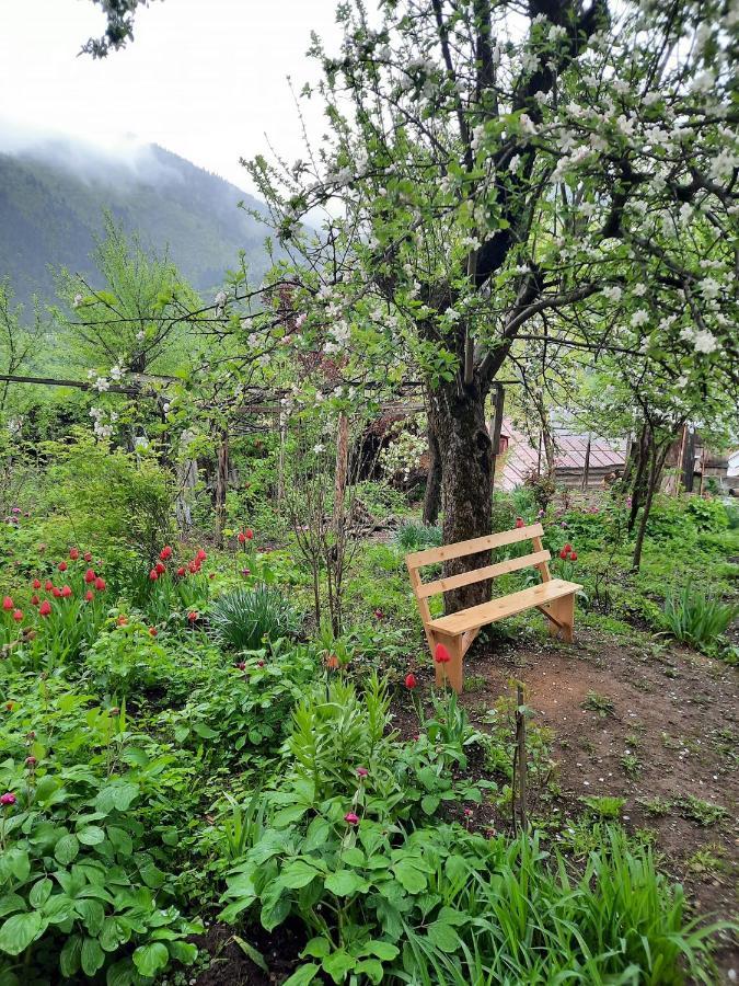 Guest House Bochora Borjomi Esterno foto