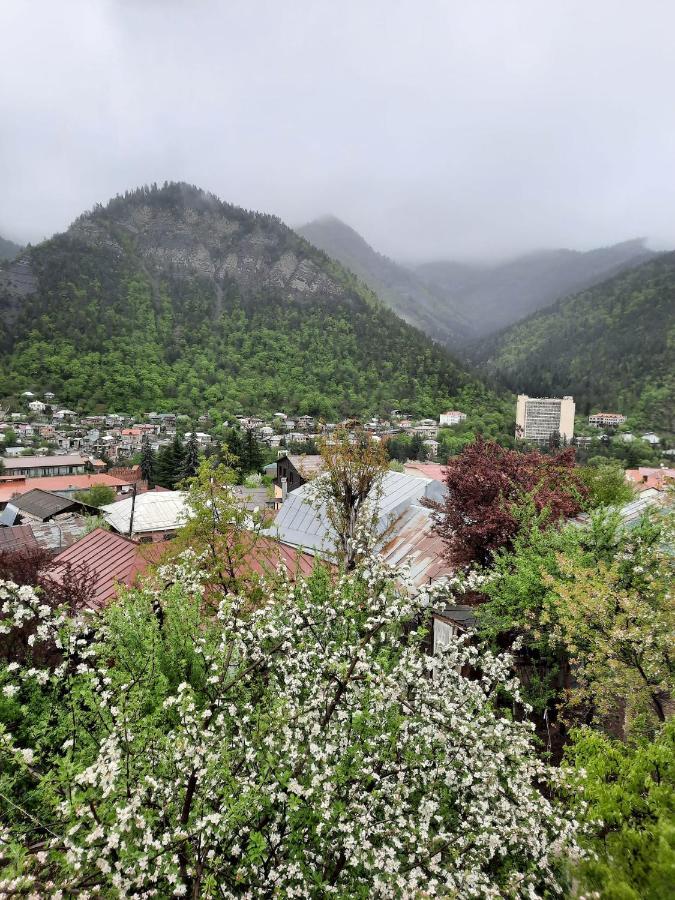 Guest House Bochora Borjomi Esterno foto