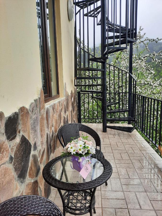 Guest House Bochora Borjomi Esterno foto