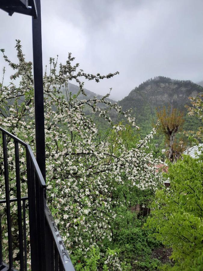 Guest House Bochora Borjomi Esterno foto