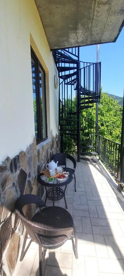 Guest House Bochora Borjomi Esterno foto